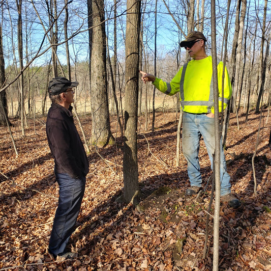Tree to Table: Chainsaw Safety/Maintenance and Tree Felling   with Joe Watson | May 24, 2025